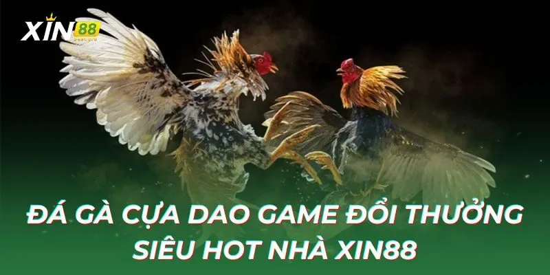 Đá gà cựa dao game đổi thưởng siêu hot tại XIN88