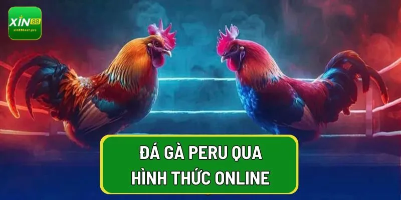 Đá gà peru hình thức online