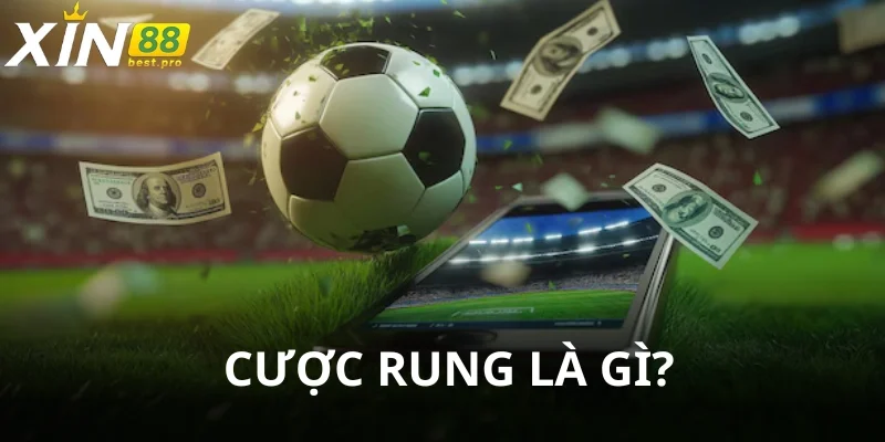 Kèo rung là hình thức cá độ đặc biệt trong bóng đá