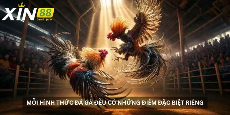 Mỗi hình thức đá gà Xin88 đều có những điểm đặc biệt riêng