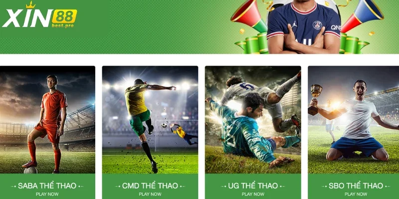 Rất nhiều đối tác đang hoạt động trên XIN88