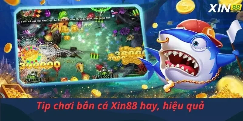 Tip chơi bắn cá Xin88 hay, hiệu quả